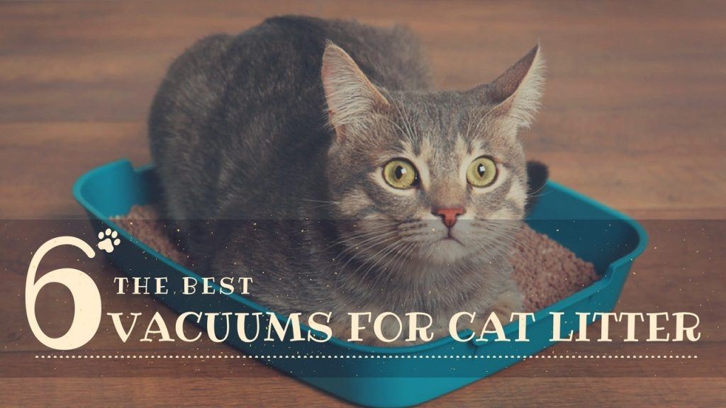 best-vacuums-for-cat-litter
