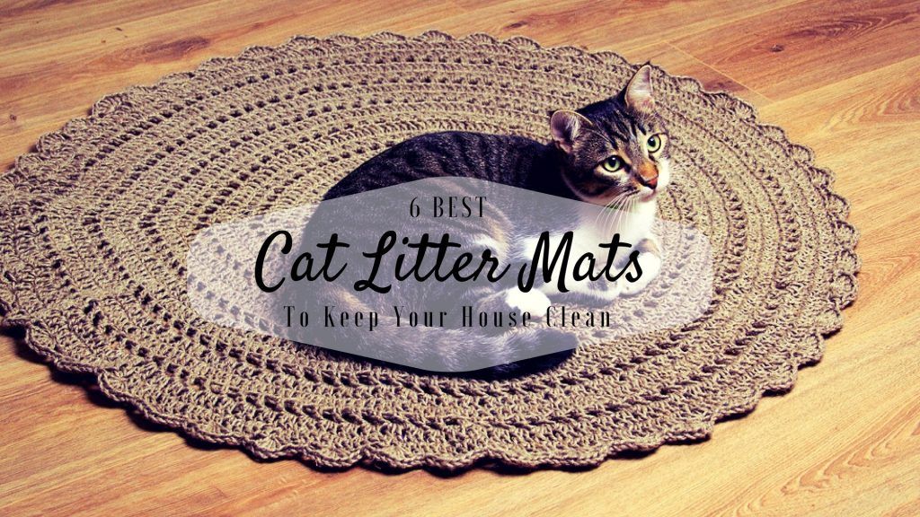best cat litter mats