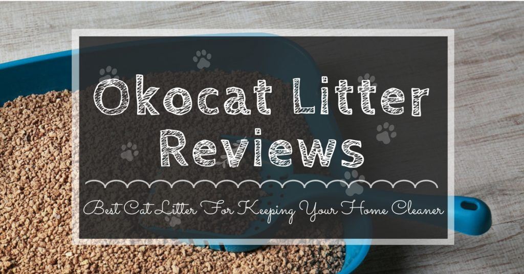 okocat-litter-reviews