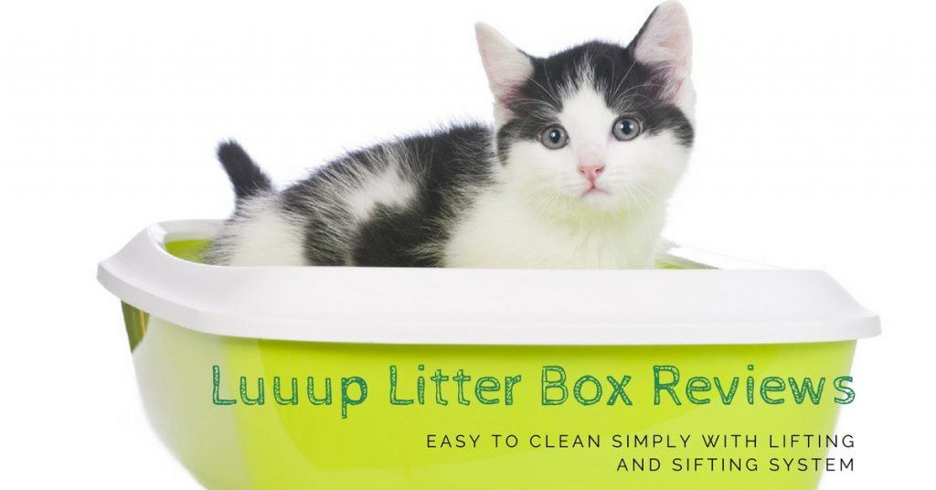 Luuup Litter Box