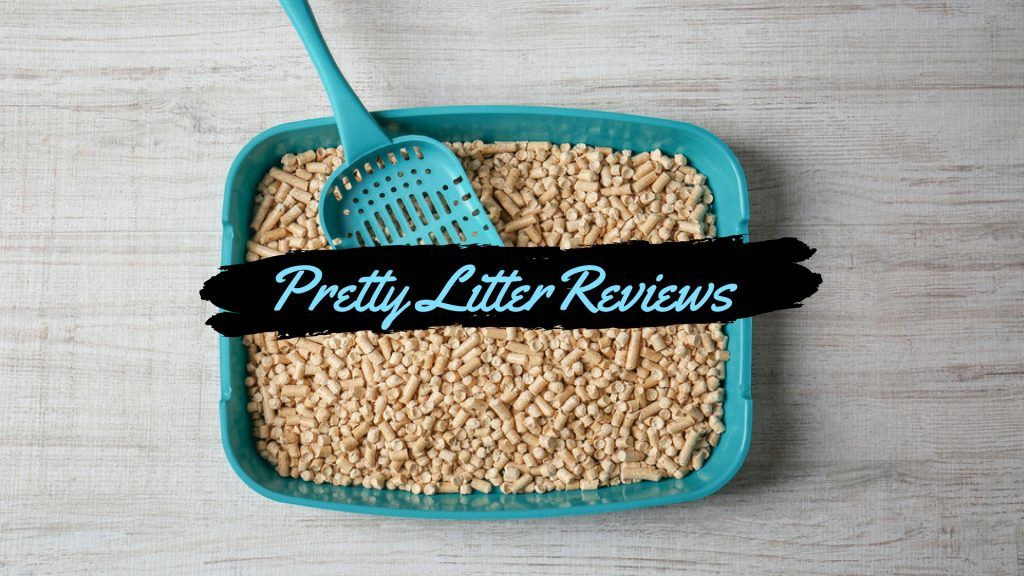 Pretty litter reviews
