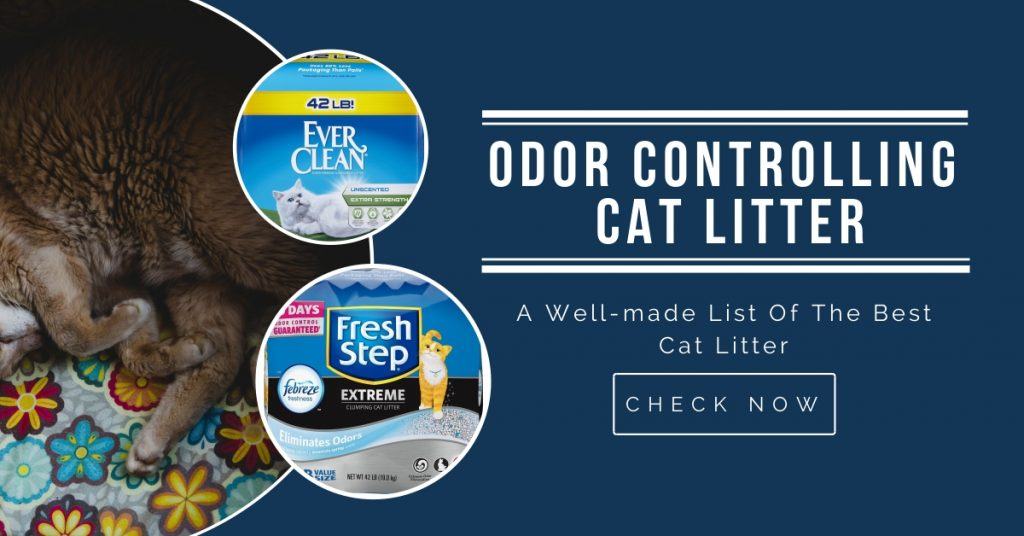 best-odor-controlling-cat-litter