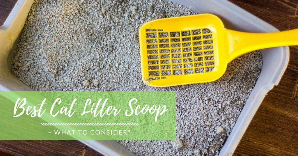 best cat litter scoop