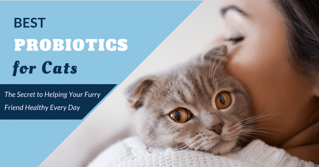 best probiotics for cats