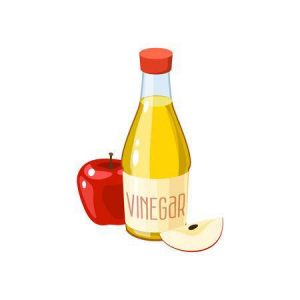 Home Remedies For Cat Uti And Vinegar