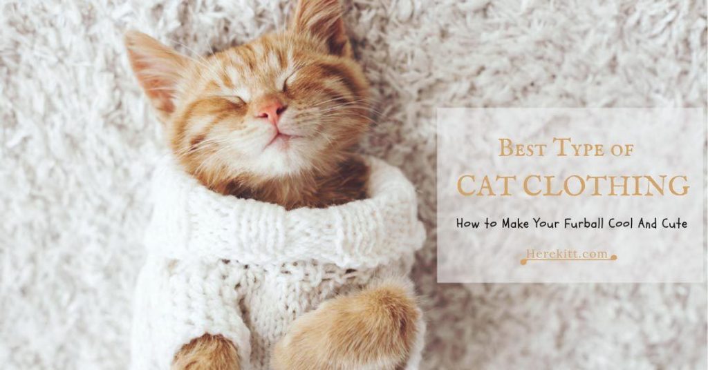 cat clothing