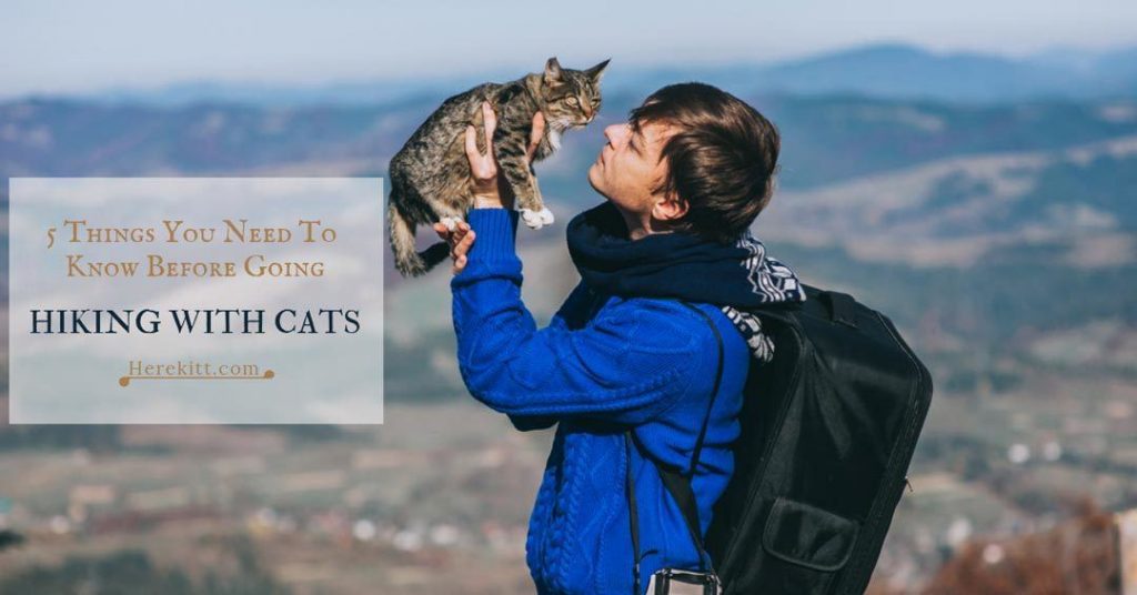 Hiking With Cats