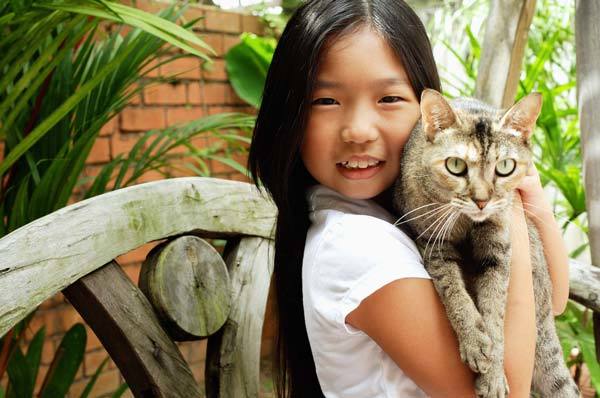 import pet to singapore