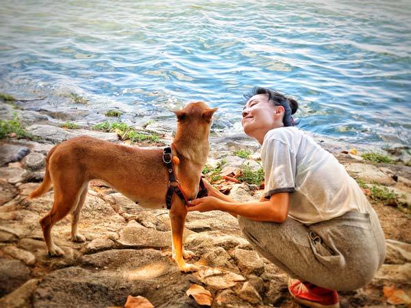 import pet to singapore