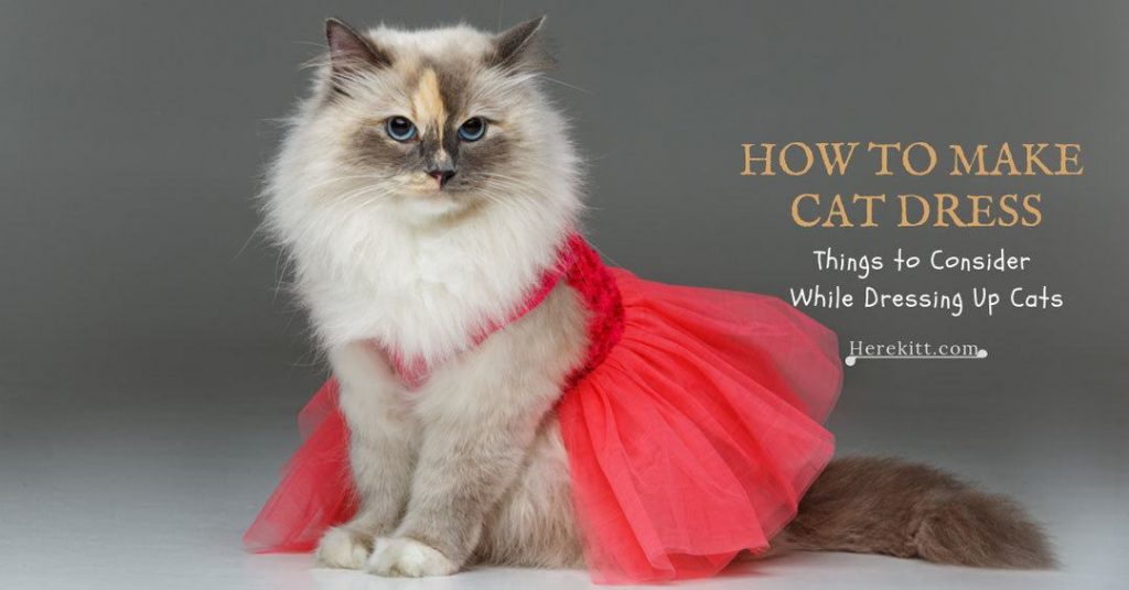 how to make cat dress
