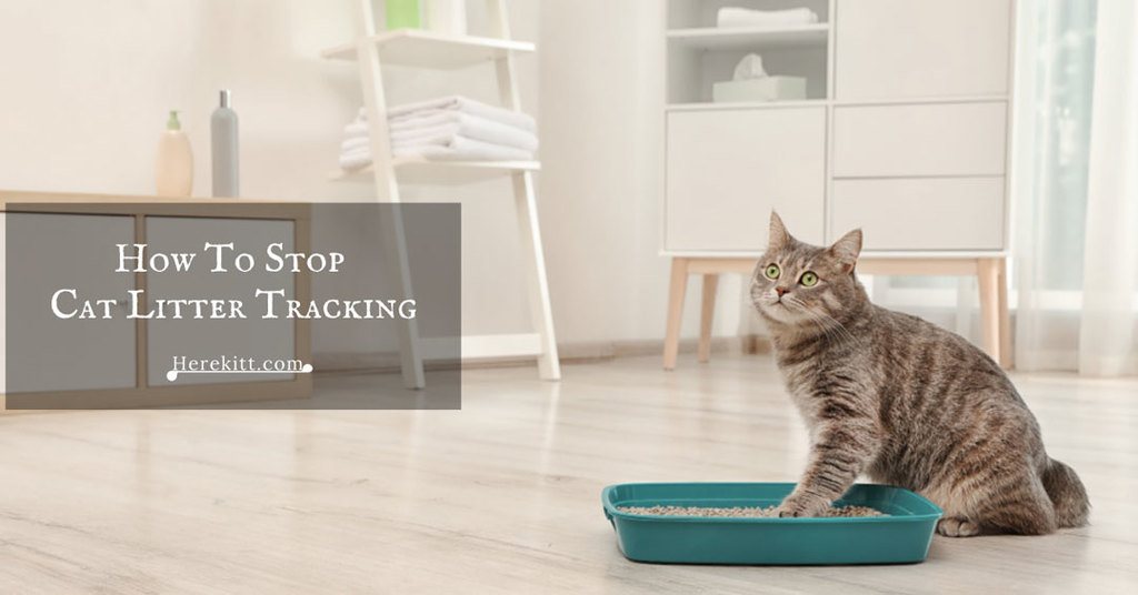 how to stop cat litter tracking