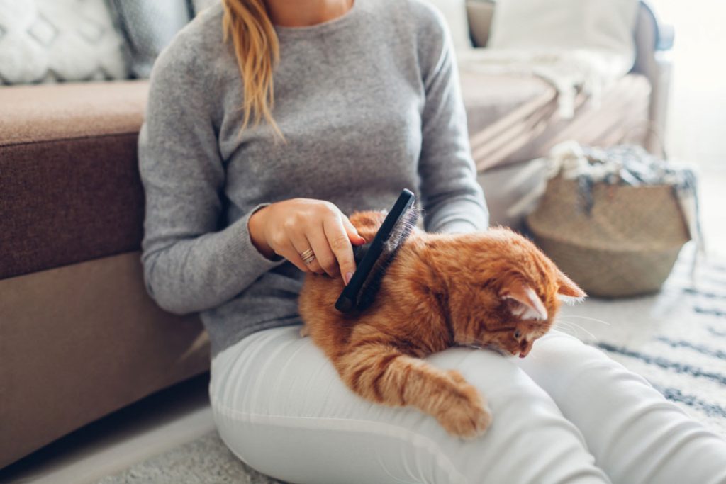 best pet hair remover
