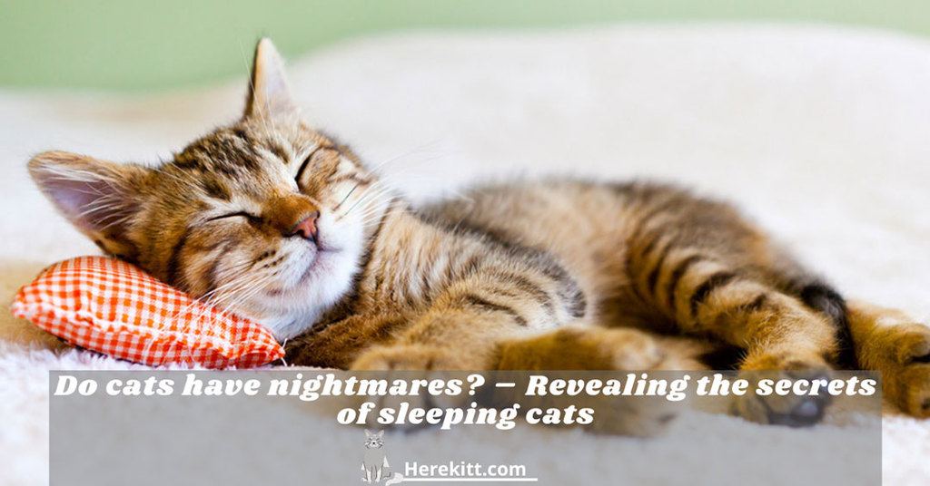 do cats have nightmares
