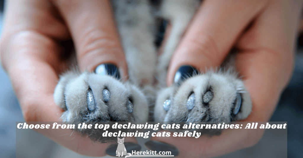 declawing cats alternatives