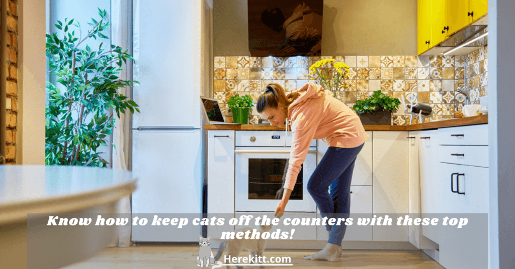 how to keep cats off the counters