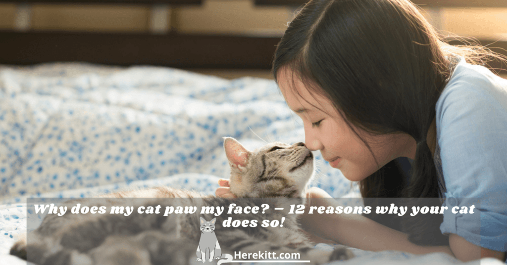 why does my cat paw my face