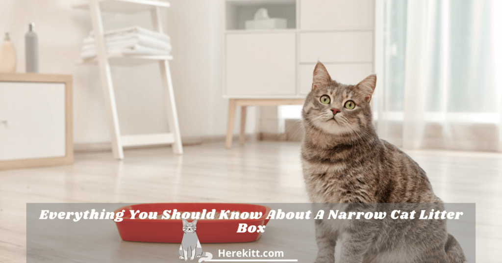 narrow cat litter box