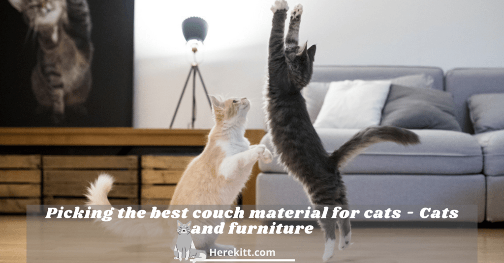 best couch material for cats