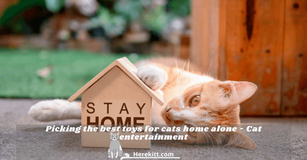 best toys for cats home alone
