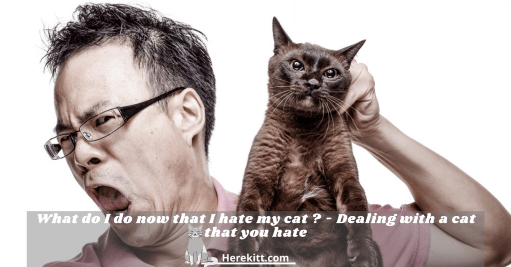 I hate my cat