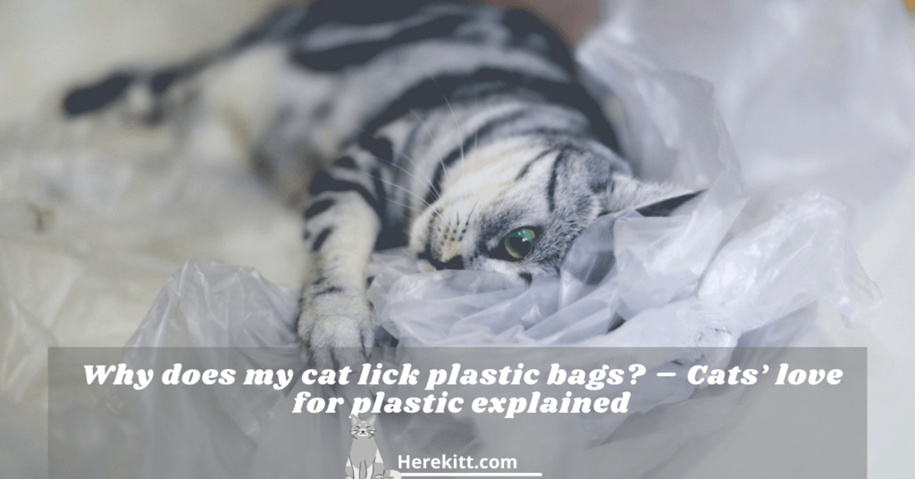 why does my cat lick plastic bags