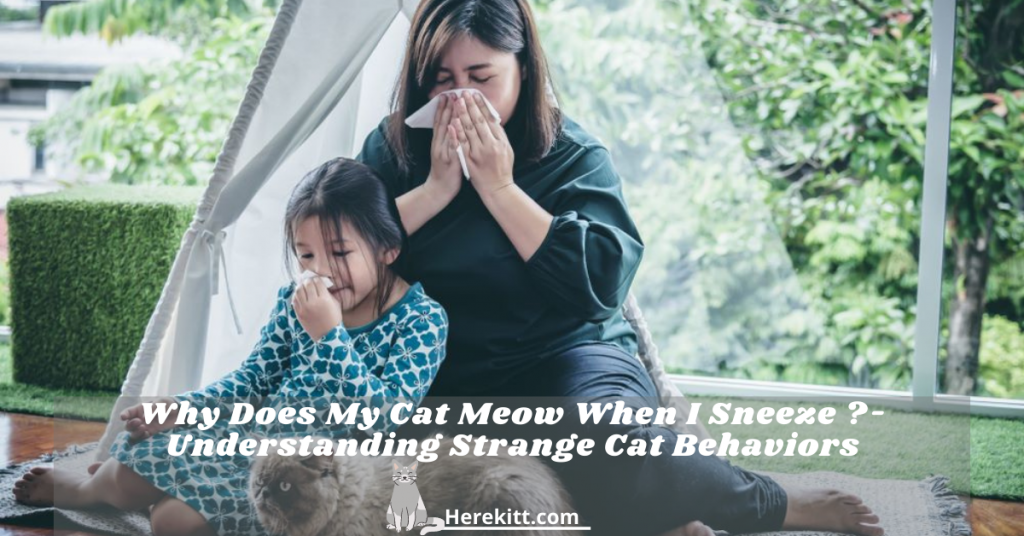 why does my cat meow when I sneeze