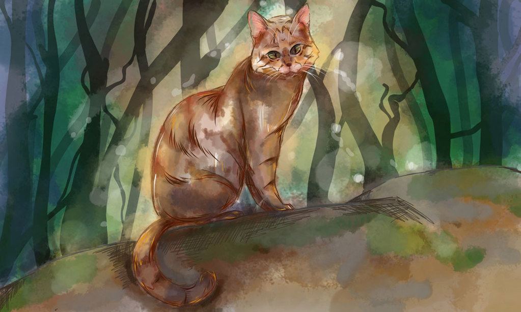 how to paint a cat portrait